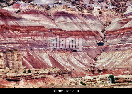 Per una notte di pioggia colorata arricchisce di ceneri vulcaniche depositi presso la bentonite colline in Utah Capitol Reef National Park. Foto Stock