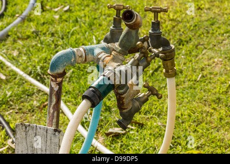 Albero del rubinetto dell'acqua. Foto Stock