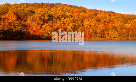 Caduta delle Foglie dei colori riflessi sul laghetto di Sheppard, New Jersey Foto Stock