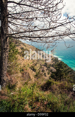 Vista di allevamento terrazze a Vernazza, Cinqueterre, Italia Foto Stock