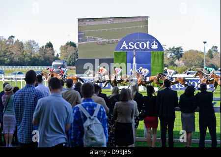 I cavalli di attraversamento della linea di finitura, Ascot Racecourse, Inghilterra, Regno Unito. Foto Stock