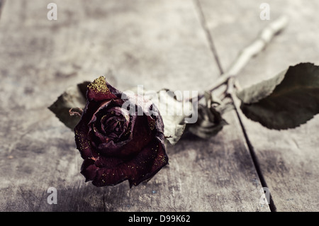 Rosa appassita sul vecchio tavolo ,close up foto Foto Stock