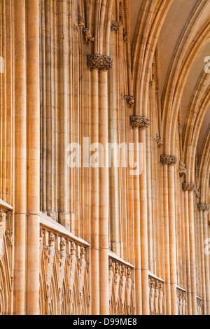 Archi gotici nella navata della cattedrale di York Minster Cathedral. Uno dei migliori esempi di architettura gotica in Europa. Foto Stock