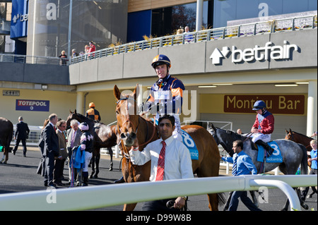 Fantini sui cavalli di entrare nel contenitore dopo la gara, Ascot Racecourse, Inghilterra, Regno Unito. Foto Stock