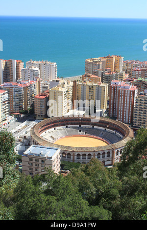 Arena circondata da edifici e da alberi in Malaga, Spagna Foto Stock