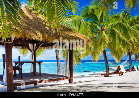 Tropical gazebo attrezzato con sedie a sdraio sulla spiaggia deserta con palme Foto Stock