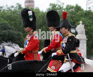 Trooping il colore. Londra, Regno Unito. Il 15 giugno, 2013. Principe Carlo Guglielmo duca di Cambridge e la Principessa Anna la Principessa Reale, al Trooping del colore 2013, sul Mall, di fronte a Buckingham Palace. Pic: Paolo Marriott Fotografia/Alamy Live News Foto Stock