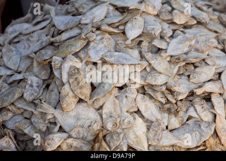 Asia, India, Karnataka, Madikeri, pesci secchi sul mercato Foto Stock