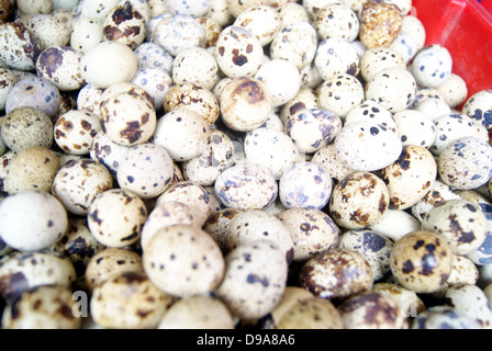 Un mucchio di uova di quaglia, in un mercato degli agricoltori Foto Stock
