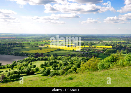 Bucks - Chiltern Hills - Coombe Hill - inizio estate paesaggio rurale su Aylesbury pianura - la luce del sole e ombra - cielo blu Foto Stock