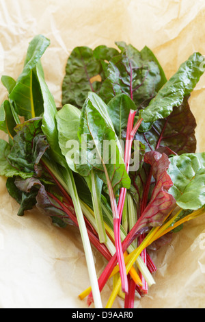 Rainbow chard lascia solo raccolte Foto Stock