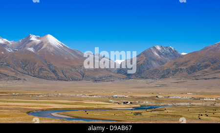 Scenario del Tibet - autunno di pascoli e di montagna di neve Foto Stock