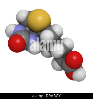 Vitamina B7 (biotina), modello molecolare. Gli atomi sono rappresentati come sfere convenzionale con codifica a colori Foto Stock