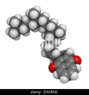 La vitamina K1 (phylloquinone), modello molecolare. Gli atomi sono rappresentati come sfere convenzionale con codifica a colori. Foto Stock