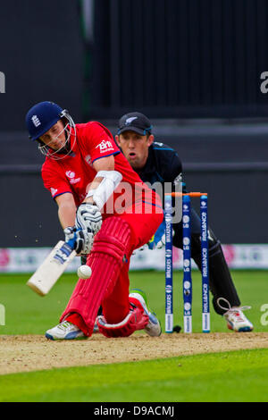 Cardiff, Galles. 16 Giugno, 2013. Inghilterra è Joe Root durante l'ICC Champions Trophy international cricket match tra Inghilterra e Nuova Zelanda a Cardiff Galles Stadium il 16 giugno 2013 a Cardiff, nel Galles. (Foto di Mitchell Gunn/ESPA/Alamy Live News) Foto Stock