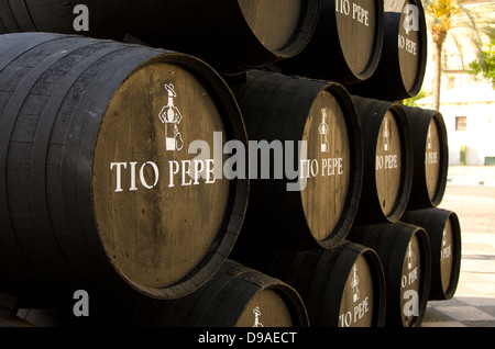 Barili da Tio Pepe, produttori di sherry, Jerez de la Frontera, Andalusia, Spagna. Foto Stock