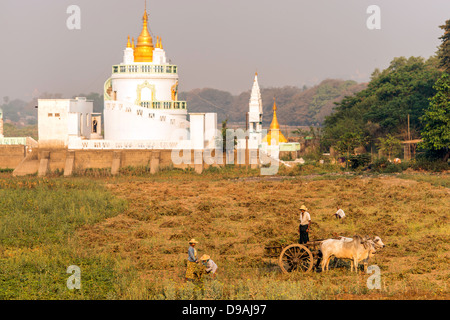 Gli agricoltori nei pressi di Ponte Ubein Mandalay MYANMAR Birmania Foto Stock