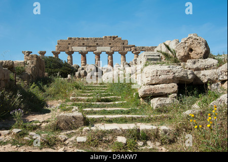 Tempio di Eracle Tempio C Akropolis Selinunte Sicilia Italia Herakles-Tempel Tempel C Akropolis Selinunt Sizilien Italien Selinu Foto Stock