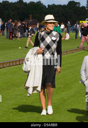 Egham, Regno Unito. 16 Giugno, 2013. Noi attrice Sharon Stone assiste il Cartier Queen's Cup finale al Guards Polo Club in Egham, 16 giugno 2013. Foto: Albert Nieboerdpa/Alamy Live News Foto Stock