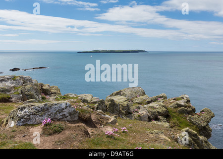 Skokholm Island West Wales costa vicino Skomer island. Se perdete il traghetto per l'isola tali viste si trovano sulla passeggiata su t Foto Stock