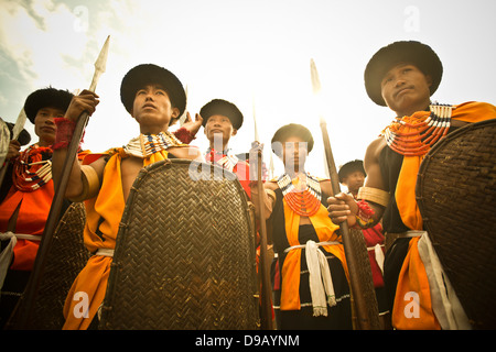 Naga guerrieri tribali in abito tradizionale con lance e scudi, Hornbill Festival, Kohima, Nagaland, India Foto Stock