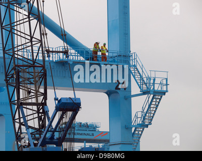 Due uomini in alto su una gru a portale di APM terminal per container nel porto di Rotterdam, Paesi Bassi Foto Stock