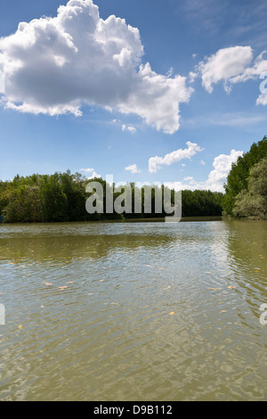 Argine del Fiume Nam Pak Krabi in Thailandia Foto Stock