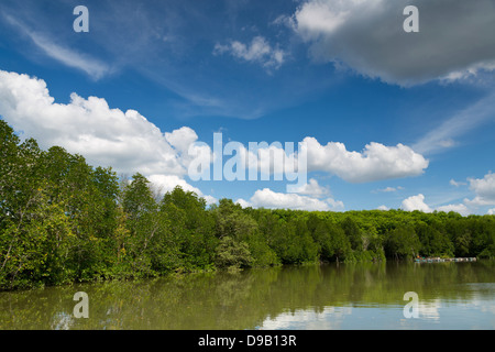 Argine del Fiume Nam Pak Krabi in Thailandia Foto Stock