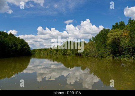 Argine del Fiume Nam Pak Krabi in Thailandia Foto Stock