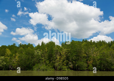 Argine del Fiume Nam Pak Krabi in Thailandia Foto Stock