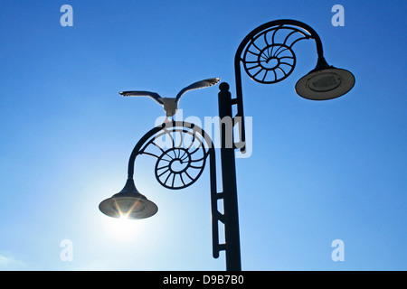 Seagull atterraggio su una lampada posta in Lyme Regis Foto Stock