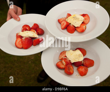 Piastre di fragole e panna Foto Stock