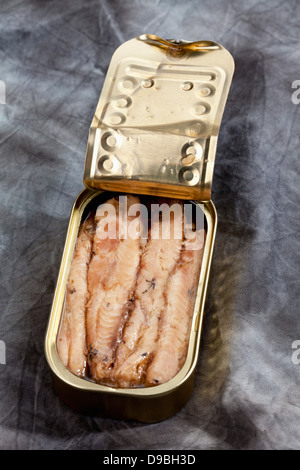 Possono le sardine filltes in olio su tessuto Foto Stock