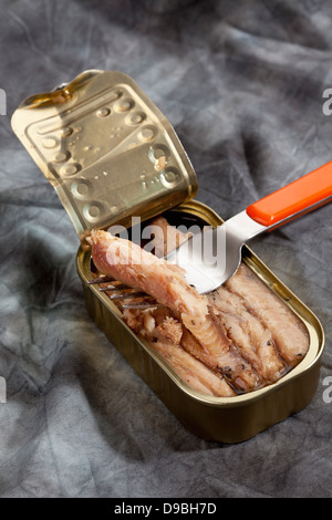 Possono le sardine filltes in olio su tessuto Foto Stock