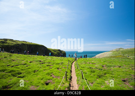 Visitatori presso lo stoppino sull isola di Skomer, South Pembrokeshire, Wales, Regno Unito Foto Stock