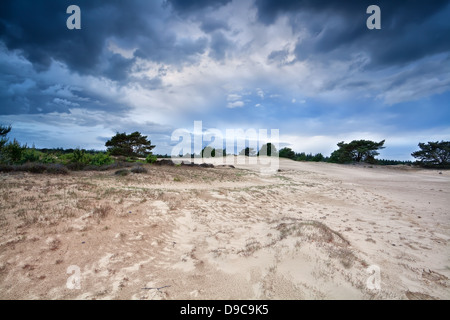 Cupe nuvole temporalesche oltre le dune di sabbia in Drenthe, Appelscha Foto Stock