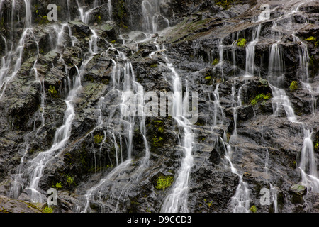 Coda di cavallo cade, Keystone Canyon, Richardson autostrada, 15 miglia a est di Valdez, Alaska, STATI UNITI D'AMERICA Foto Stock