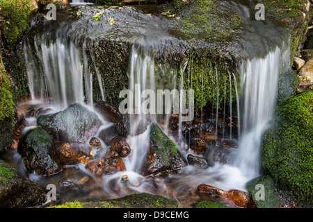 Venford brook. Acqua e rocce. Dartmoor Devon, Inghilterra Foto Stock