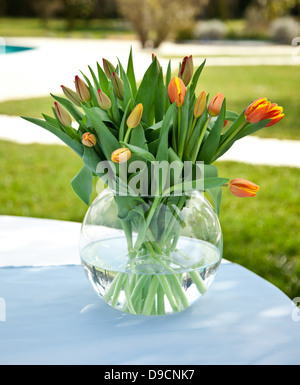 Tulipani arancio sul tavolo in giardino Foto Stock