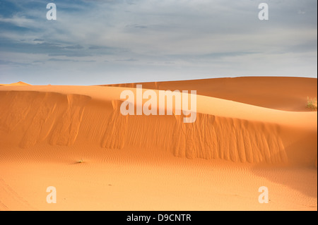 Le dune di sabbia di Erg Chebbi, Marocco Foto Stock