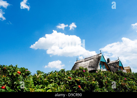 Cottage estivi e sul Mar Baltico Foto Stock