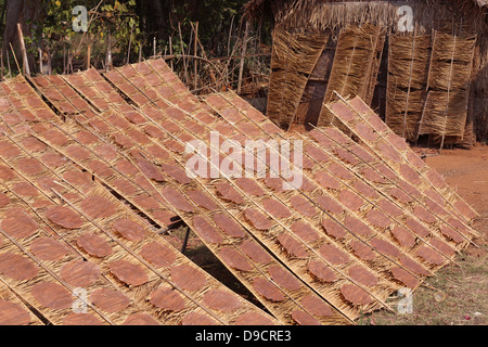 Appena sfornati cracker di riso essiccazione su rack di bambù al sole in un piccolo villaggio sul Lago Inle, Myanmar Foto Stock