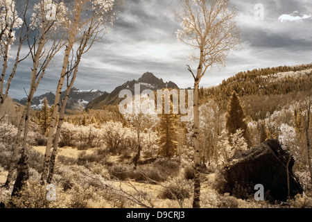 Dallas dividere è alto mountain pass in Stati Uniti del Colorado. Foto Stock