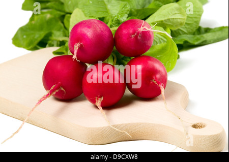 Rafano fresco su sfondo bianco, food concept Foto Stock