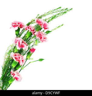 Bel bouquet di garofani isolato su uno sfondo bianco Foto Stock