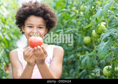 Ragazza raccolta di pomodori freschi Foto Stock