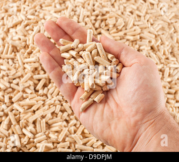 Pellet di legno in mano sul background agglomerati in forma di pellets Foto Stock