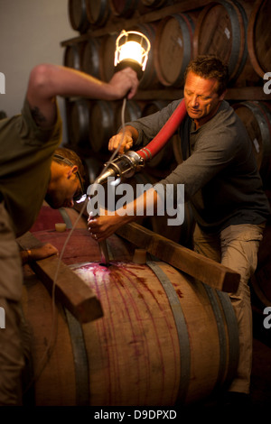 Il pompaggio nella canna del vino Foto Stock