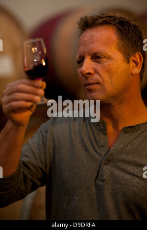 L'uomo controllo del colore del vino rosso Foto Stock