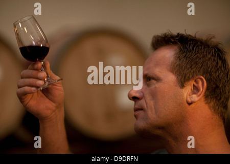 L'uomo controllo del colore del vino rosso Foto Stock